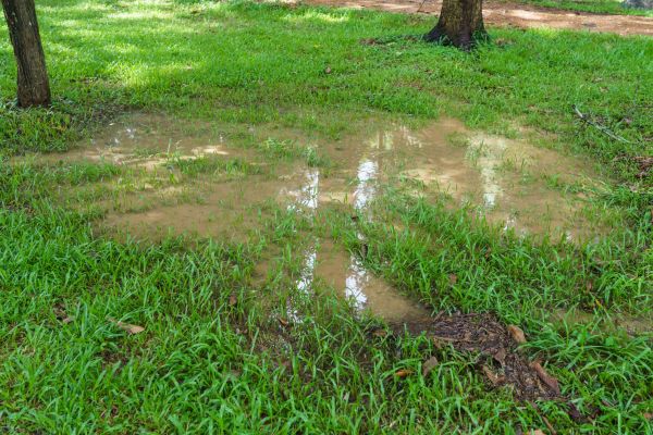 Storm Water Drainage Service in Fond Du Lac