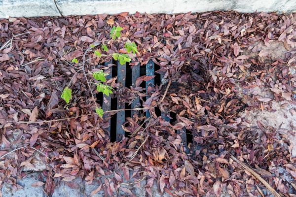 Cost of Yard Drain Unclogging in Fond Du Lac