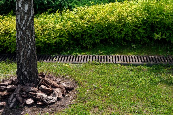 Cost of Wet Yard Drainage in Fond Du Lac