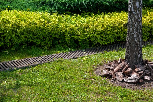 Cost of Residential Landscape Drainage in Fond Du Lac