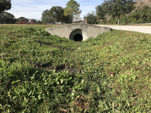 Swale Drainage Service in Fond Du Lac